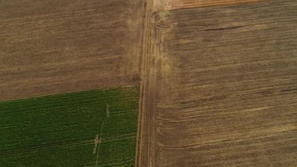 Aerial View Agricultural Area — Stock Video