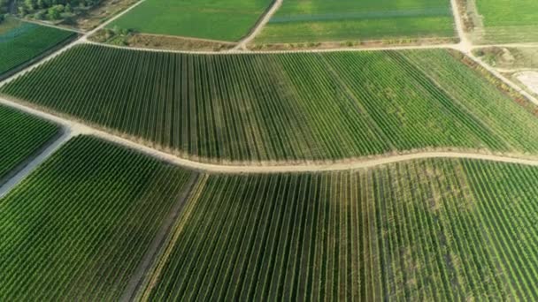 Zona Rheingau Taunus Alemania Viñedos Vista Aérea — Vídeo de stock