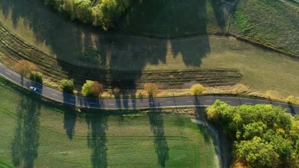 Route Travers Zone Agricole Forestière Vue Aérienne — Video