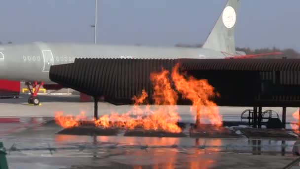 Frankfurt Alemania Octubre 2018 Simba Maniquí Avión Llamas Durante Simulacro — Vídeos de Stock