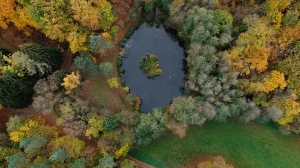 空撮森の小さな池 — ストック動画