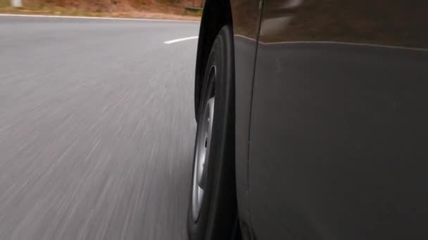 Conducir Por Una Carretera Campo Través Del Bosque Vista Bajo — Vídeos de Stock