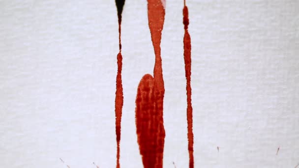 在白纸上的红色滴 — 图库视频影像