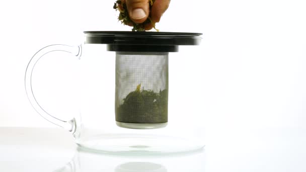 Bir Çaydanlık Bitkisel Çay Hazırlama — Stok video