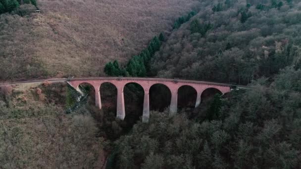 Starý Železniční Most Viadukt Přes Údolí Letecký Pohled — Stock video