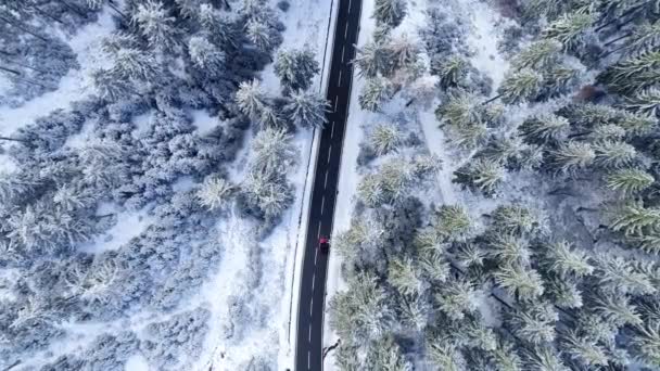Jalan Melalui Hutan Musim Dingin Daerah Pegunungan Taunus Pemandangan Udara — Stok Video