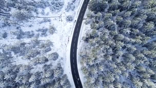 Straße Durch Den Winterlichen Wald Taunus Luftaufnahme — Stockvideo