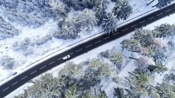 Road Wintery Forest Taunus Mountains Area Aerial View — Stock Video
