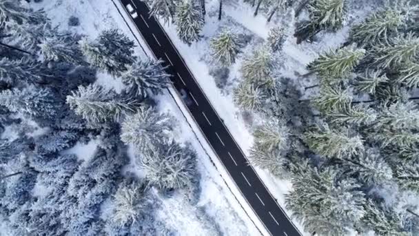 Straße Durch Den Winterlichen Wald Taunus Luftaufnahme — Stockvideo