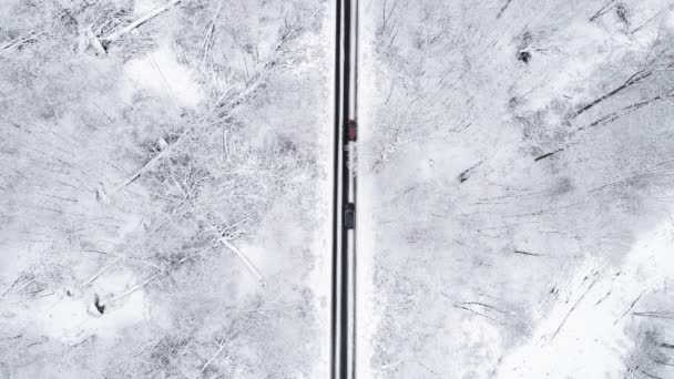 Camino Través Del Bosque Cubierto Nieve Seguimiento Disparo Vista Aérea — Vídeo de stock