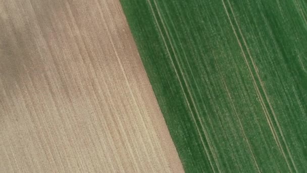 Aerial View Agricultural Area Fields Drone Footage — Stock Video
