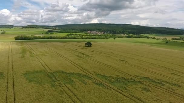 Tarımsal Alan Alanların Havadan Görünümü — Stok video