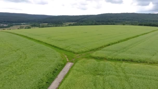 Veduta Aerea Della Superficie Agricola Dei Campi — Video Stock