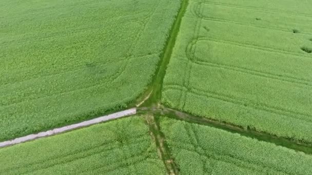 Luftaufnahme Von Landwirtschaftlichen Flächen Und Feldern — Stockvideo