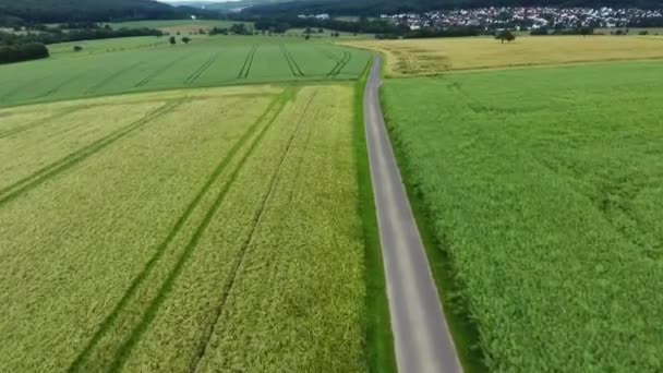 Вид Воздуха Сельскохозяйственные Угодья — стоковое видео