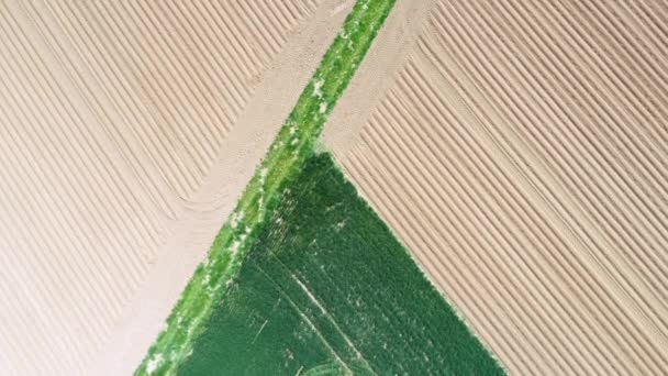 Abstract Aerial View Agricultural Fields — Stock Video