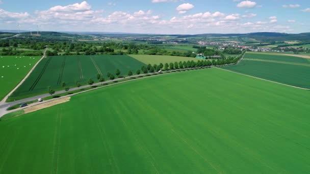 Luftaufnahme Einer Allee Durch Landwirtschaftliche Felder — Stockvideo