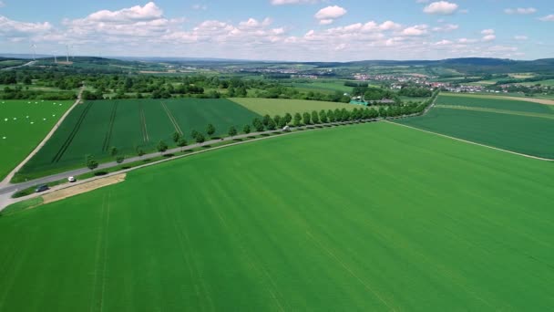 Vista Aérea Una Callejuela Través Campos Agrícolas — Vídeos de Stock