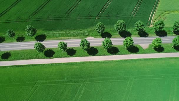 Flygbild Gränväg Genom Jordbruksområden — Stockvideo