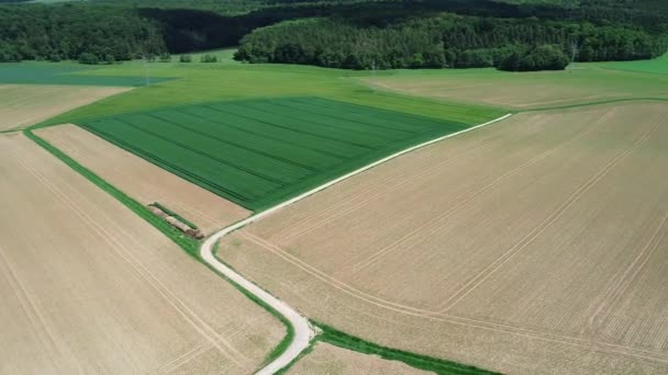 Volar Sobre Campos Agrícolas Primavera Paisaje Alemán — Vídeos de Stock