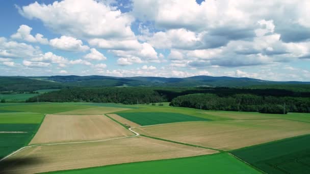 Flying Agricultural Fields Springtime German Landscape — Stock Video