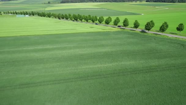 Vista Aérea Uma Estrada Através Campos Agrícolas Primavera — Vídeo de Stock