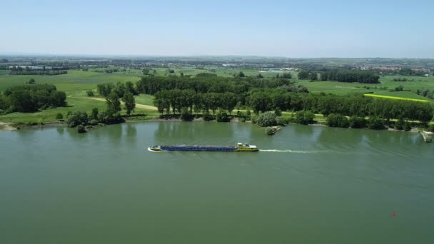 莱茵河上的工业船舶 跟踪拍摄 夏季时间 — 图库视频影像
