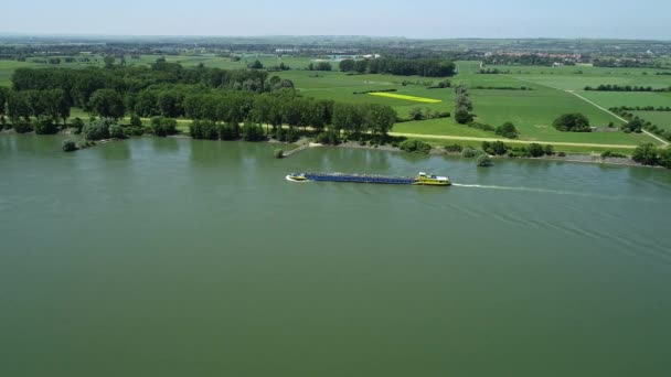 Industrial Ships Rhine River Tracking Shot Summer Time — Stock Video