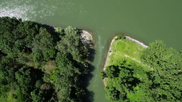 莱茵河 跟踪拍摄 夏季时间 — 图库视频影像