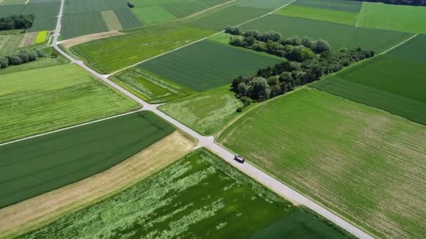 Летающие Над Сельскохозяйственными Полями Весной — стоковое видео