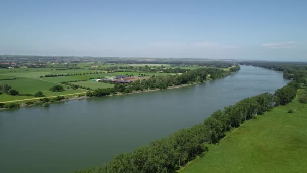 Barcos Industriales Río Rin Tiro Seguimiento Hora Verano — Vídeos de Stock