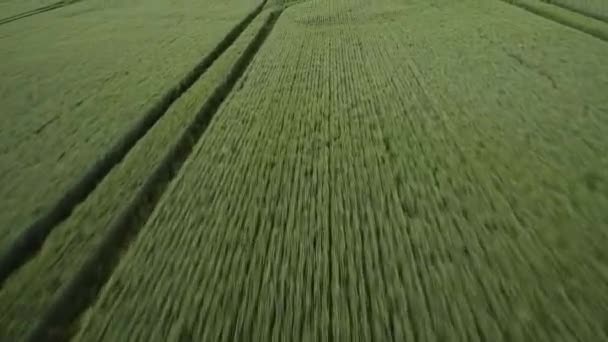 農業地域とフィールドの上空を飛ぶ ドローン映像 追跡ショット — ストック動画