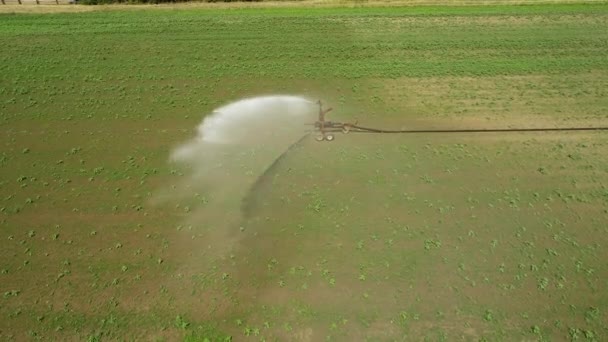 Aspersor Agrícola Campo Plantación Vista Aérea Imágenes Drones — Vídeo de stock