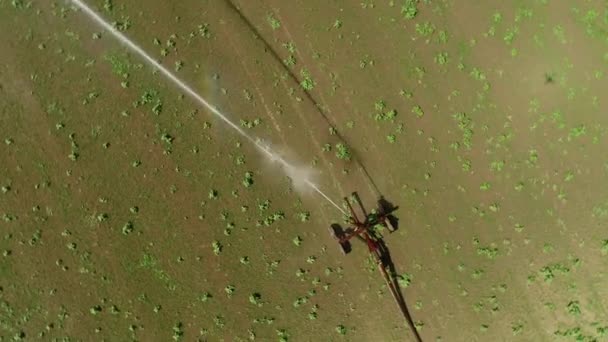 Irrigatore Agricolo Campo Piantagione Vista Aerea Riprese Droni — Video Stock