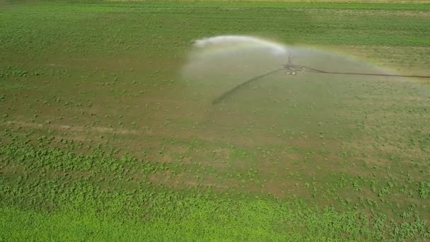 Agricultural Sprinkler Field Plantation Aerial View Drone Footage — Stock Video
