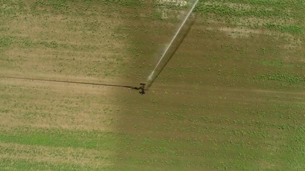 Aspersor Agrícola Campo Plantação Vista Aérea Metragem Drones — Vídeo de Stock