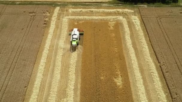 Wheat Field Combine Harvester Aerial View Drone Footage — Stock Video