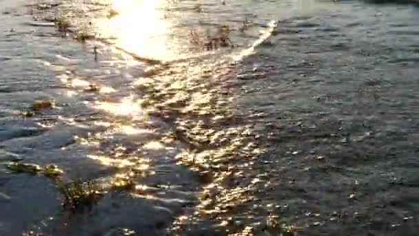 Agua Que Fluye Del Río Anochecer Retroiluminado Puesta Del Sol — Vídeo de stock