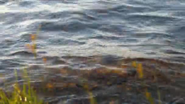 Tekoucí Voda Řeky Soumraku Podsvícený Západ Slunce — Stock video