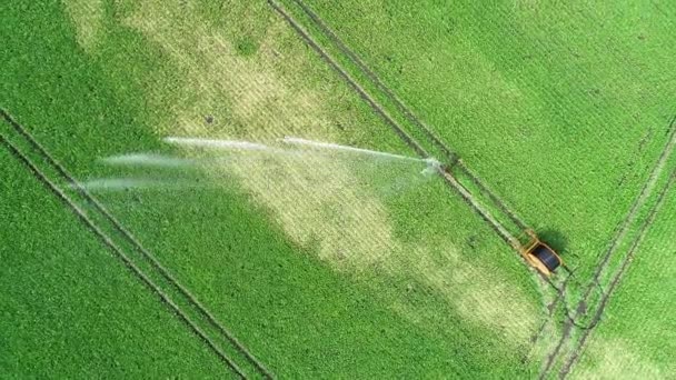 Tarım Fıskiye Alan Plantasyon Havadan Görünümü Drone Görüntüleri — Stok video