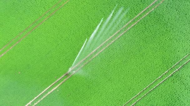 Irrigatore Agricolo Campo Piantagione Vista Aerea Riprese Droni — Video Stock