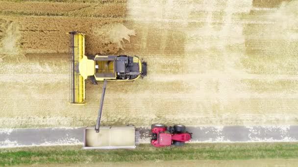 小麦畑と組み合わせ収穫機 航空写真 ドローン映像 — ストック動画