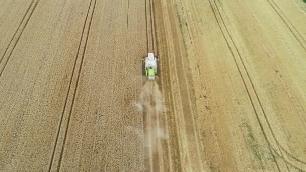 Harvesting Harrowing Agricultural Fields Aerial View Drone Footage — Stock Video