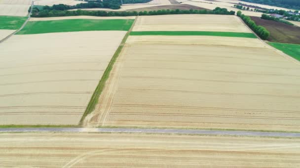 Harvesting Harrowing Agricultural Fields Aerial View Drone Footage — Stock Video