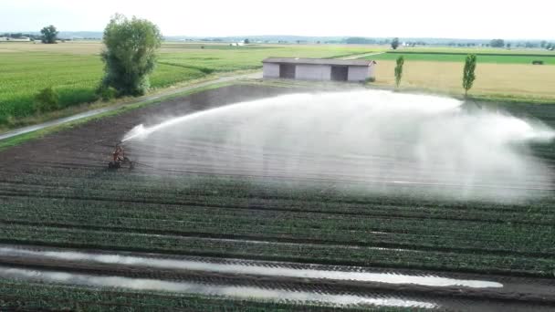 Landbouw Sprinkler Velden Bovenaanzicht — Stockvideo