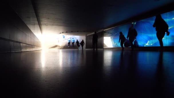 青く照らされたガラスの壁の前を歩く 認識できない人々のシルエットのスローモーション 歩行者用地下道 — ストック動画