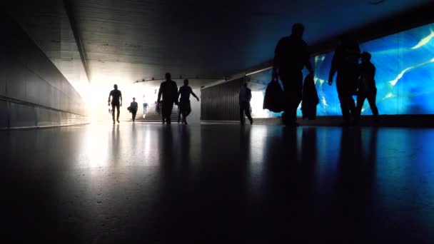 Slow Motion Unrecognisable Peoples Silhouettes Walking Front Blue Illuminated Glass — Stock Video