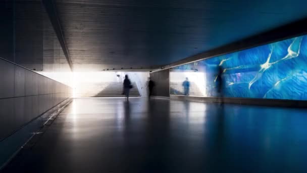 Timelapse Unrecognisable Peoples Silhouettes Walking Front Blue Illuminated Glass Wall — Stock Video