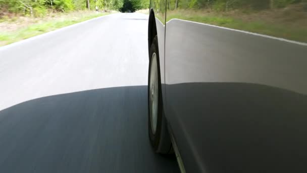 Rijden Een Landweg Door Het Bos Uitzicht Vanuit Een Lage — Stockvideo