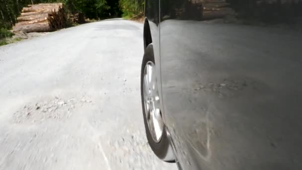 森の中の田舎道を運転する 低角度のビュー — ストック動画